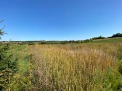 Продається ділянка Тернопільська, Тернопільський, Курники, Грушевського фото 8 Продається ділянка Тернопільська, Тернопільський, Курники, Грушевського фото 8