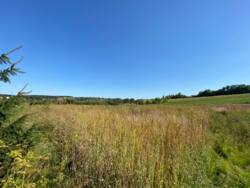 Продається ділянка Тернопільська, Тернопільський, Курники, Грушевського фото 9 Продається ділянка Тернопільська, Тернопільський, Курники, Грушевського фото 9