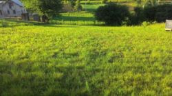 Продається ділянка Тернопільська, Тернопіль, Кутківці, 1львівські дачі фото 1 Продається ділянка Тернопільська, Тернопіль, Кутківці, 1львівські дачі фото 1