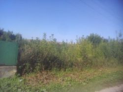 Продається ділянка Тернопільська, Тернопільський, Чернилів-Руський, Зелена №5 фото 1 Продається ділянка Тернопільська, Тернопільський, Чернилів-Руський, Зелена №5 фото 1