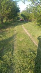 Продається ділянка Тернопільська, Тернопільський, Івачів Горішній фото 8 Продається ділянка Тернопільська, Тернопільський, Івачів Горішній фото 8