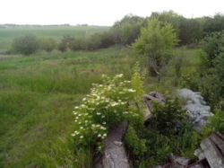 Продається ділянка Тернопільська, Тернопільський, Дичків фото 1 Продається ділянка Тернопільська, Тернопільський, Дичків фото 1