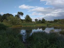 Продається ділянка Тернопільська, Тернопільський, Товстолуг фото 2 Продається ділянка Тернопільська, Тернопільський, Товстолуг фото 2