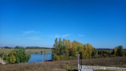 Навпроти ставу перша лінія. фото 2 Навпроти ставу перша лінія. фото 2