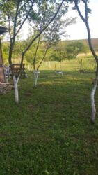 Продається ділянка Тернопільська, Тернопільський, Івачів Горішній фото 12 Продається ділянка Тернопільська, Тернопільський, Івачів Горішній фото 12