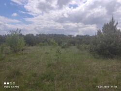 Продається ділянка Тернопільська, Тернопільський, Івачів Горішній фото 3 Продається ділянка Тернопільська, Тернопільський, Івачів Горішній фото 3