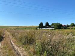 Продається ділянка Тернопільська, Тернопільський, Курники, Грушевського фото 6 Продається ділянка Тернопільська, Тернопільський, Курники, Грушевського фото 6