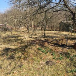 Продається ділянка Тернопільська, Тернопільський, Прошова фото 5 Продається ділянка Тернопільська, Тернопільський, Прошова фото 5