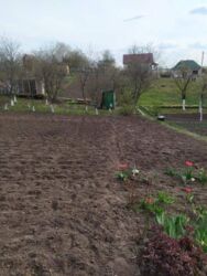 Продається ділянка Тернопільська, Тернопіль, Кутківці, 1львівські дачі фото 1 Продається ділянка Тернопільська, Тернопіль, Кутківці, 1львівські дачі фото 1