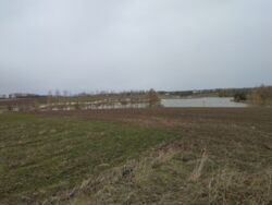 Продається ділянка Тернопільська, Тернопільський, Романівка фото 1 Продається ділянка Тернопільська, Тернопільський, Романівка фото 1