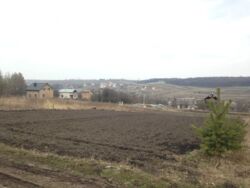 Продається ділянка Тернопільська, Тернопільський, Петриків фото 3 Продається ділянка Тернопільська, Тернопільський, Петриків фото 3