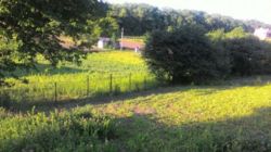 Продається ділянка Тернопільська, Тернопіль, Кутківці, 1львівські дачі фото 2 Продається ділянка Тернопільська, Тернопіль, Кутківці, 1львівські дачі фото 2