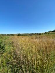 Продається ділянка Тернопільська, Тернопільський, Курники, Грушевського фото 7 Продається ділянка Тернопільська, Тернопільський, Курники, Грушевського фото 7