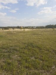 Продається ділянка Тернопільська, Тернопільський, Великі Бірки, Вишнева фото 2 Продається ділянка Тернопільська, Тернопільський, Великі Бірки, Вишнева фото 2