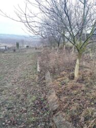 Продається ділянка Тернопільська, Тернопільський, Великий Глибочок фото 4 Продається ділянка Тернопільська, Тернопільський, Великий Глибочок фото 4