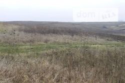 Продається ділянка Тернопільська, Тернопільський, Підгороднє фото 2 Продається ділянка Тернопільська, Тернопільський, Підгороднє фото 2