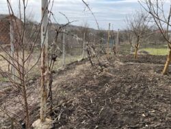 Продається ділянка Тернопільська, Тернопільський, Ступки фото 8 Продається ділянка Тернопільська, Тернопільський, Ступки фото 8