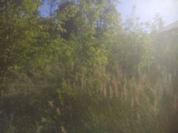 Продається ділянка Тернопільська, Тернопільський, Чернилів-Руський, Зелена №5 фото 4 Продається ділянка Тернопільська, Тернопільський, Чернилів-Руський, Зелена №5 фото 4