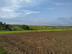 Продається ділянка Тернопільська, Тернопільський, Байківці фото 3 Продається ділянка Тернопільська, Тернопільський, Байківці фото 3