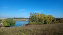 Навпроти ставу перша лінія. фото 1 Навпроти ставу перша лінія. фото 1