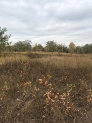 ������ ������� ������� ���������� ������� ��������� ���� 2