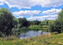 Продам участок в Циркунах возле реки фото 1 Продам участок в Циркунах возле реки фото 1