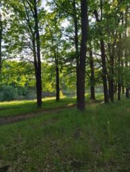 Продам участок 12 соток возле речки Циркуны фото 2 Продам участок 12 соток возле речки Циркуны фото 2