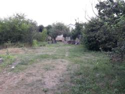 �������. 6����� .���������� ����� ��� ���������. ����� ����. ���� ����������� �������� ���. ���� �������� ���� 1