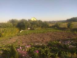 ��������� ������� ��������, �������, �����������, ������� ��������� ���� 2