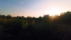 Продам участок трасса Харьков-Киев, красная линия фото 3 Продам участок трасса Харьков-Киев, красная линия фото 3