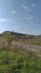 Продам поле рядом с Новой Водолагой. фото 1 Продам поле рядом с Новой Водолагой. фото 1