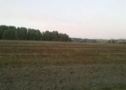 Продам участок 2 га, Чугуев фото 3 Продам участок 2 га, Чугуев фото 3