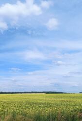 продам участок пос. Циркуны, Героев Труда фото 6 продам участок пос. Циркуны, Героев Труда фото 6