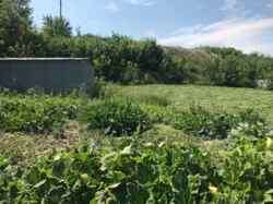 продам участок с выходим к воде, Салтов фото 2 продам участок с выходим к воде, Салтов фото 2