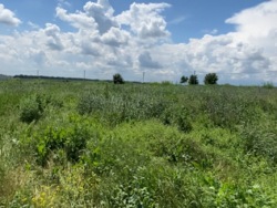 � ������� � ����������������� ��������� �������, �������� 4 �������, �. ������� ���� 2