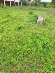 Продам участок в Малой Даниловке, Поле Чудес фото 2 Продам участок в Малой Даниловке, Поле Чудес фото 2