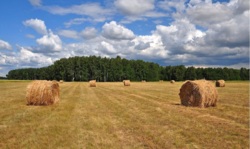 ������ ��������� ������� �/� ����������, ��������, ���������� ����� ���� 3