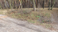 ��������� ������� �������, �����������, �������� ���� 4