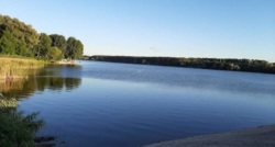 Продам участок в Циркунах возле реки фото 4 Продам участок в Циркунах возле реки фото 4