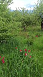 ������ ������� �� ��������� ����� 65,����� ������ ���� 4