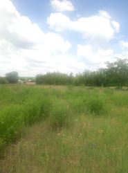 ������ ���.������� ��� ��������� ������ ���� ���� 1