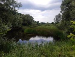 Продам земельный участок фото 2 Продам земельный участок фото 2