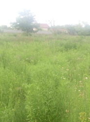 ������ ���.������� ��� ��������� ������ ���� ���� 2