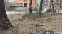 ��������� ������� �������, �����������, �������� ���� 1