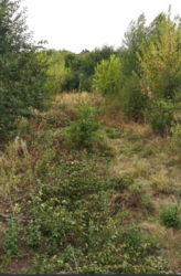 ������ ������� ����� � ��������������, �.�������� ���� 5