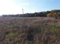 Участок 10 сот, Залютино, котеджный поселок! фото 4 Участок 10 сот, Залютино, котеджный поселок! фото 4