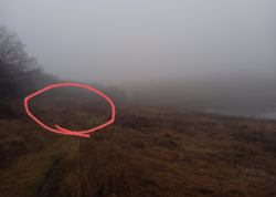 Продаётся элитный участок у края леса с выходом к пруду!!!! фото 7 Продаётся элитный участок у края леса с выходом к пруду!!!! фото 7