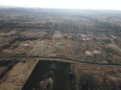 Продам участок 15 соток Рогань, ул.Поэтическая, 44 фото 4 Продам участок 15 соток Рогань, ул.Поэтическая, 44 фото 4