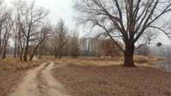 Продам участок 2 га, Чугуев фото 6 Продам участок 2 га, Чугуев фото 6