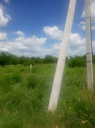 ������ ���.������� ��� ��������� ������ ���� ���� 7